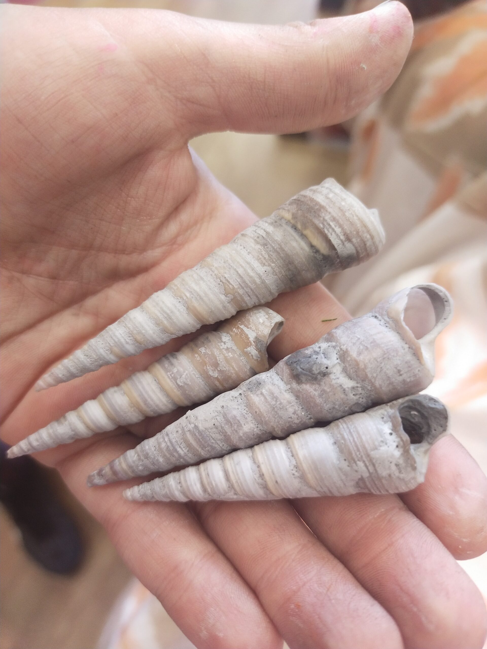 filter: 0; fileterIntensity: 0.0; filterMask: 0; module: j;
hw-remosaic: 0;
touch: (-1.0, -1.0);
modeInfo: ;
sceneMode: Night;
cct_value: 0;
AI_Scene: (-1, -1);
aec_lux: 266.18884;
hist255: 0.0;
hist252~255: 0.0;
hist0~15: 0.0;